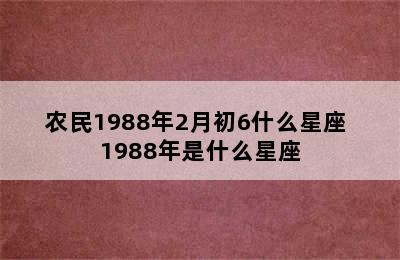 农民1988年2月初6什么星座 1988年是什么星座